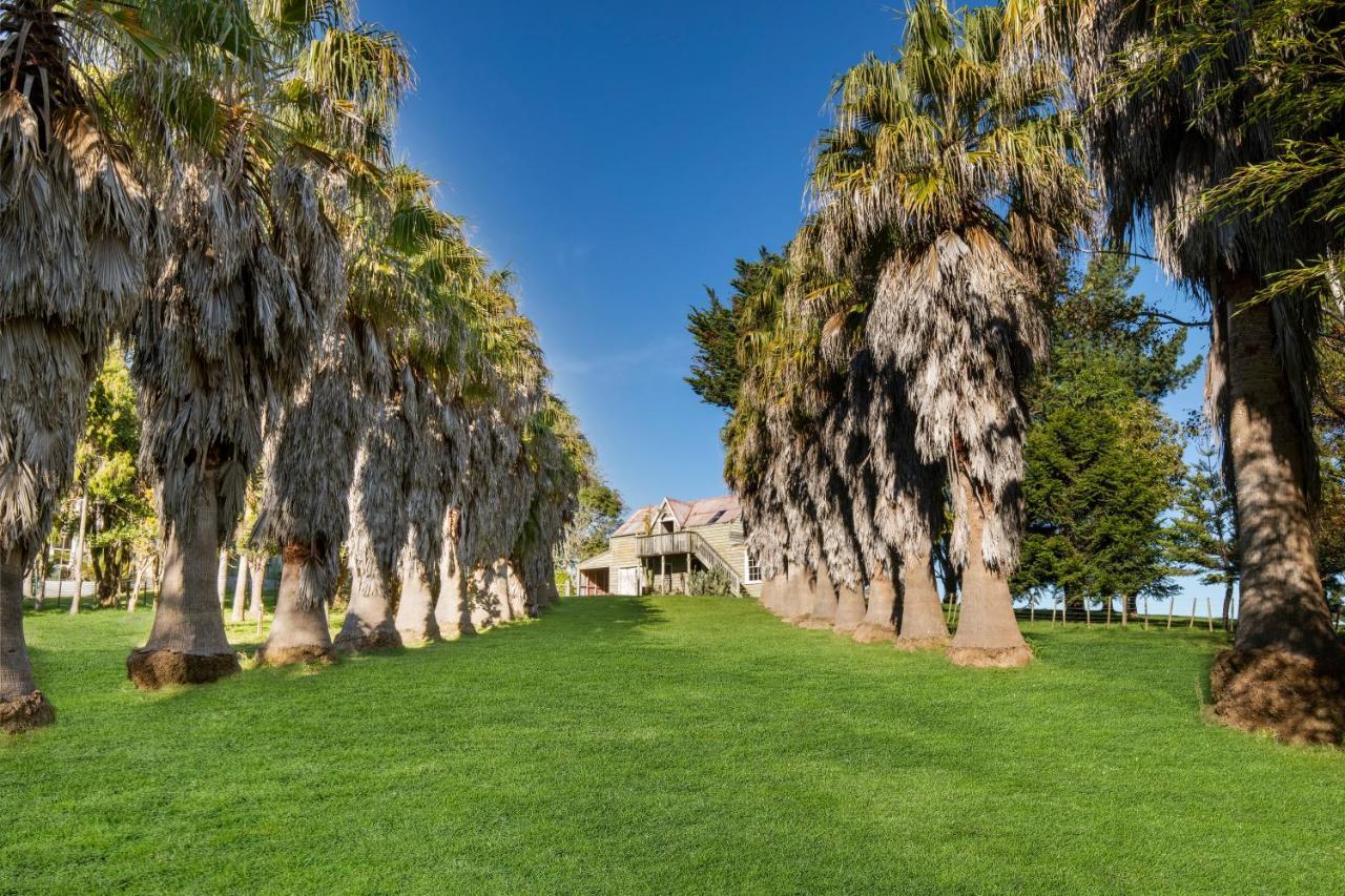 شقة Headlands Estate وانجانيو المظهر الخارجي الصورة